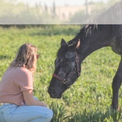médiation équine aix en provence et alentours- secteur 13/84/83/04 - séance à pieds avec un cheval